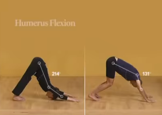 Two different people doing downward facing dog to highlight how humerus flexion affectse the pose.
